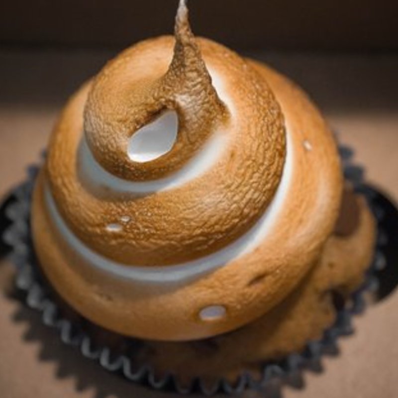S’Mores cupcake(Let Them Eat Cupcakes)