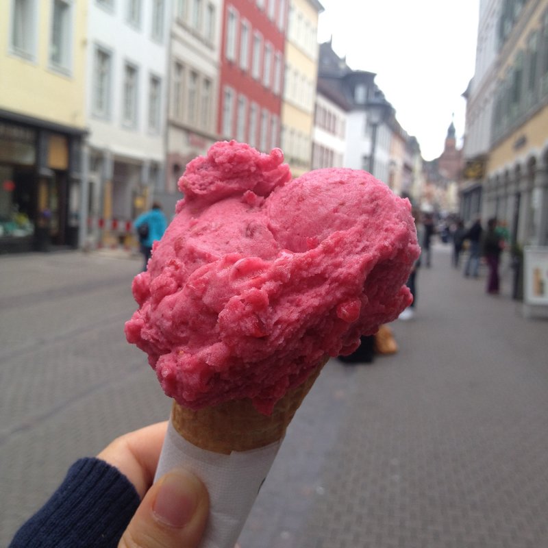 bio Cranberry (Gelato go)