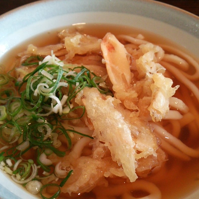 ごぼう天うどん(満留味やうどん)