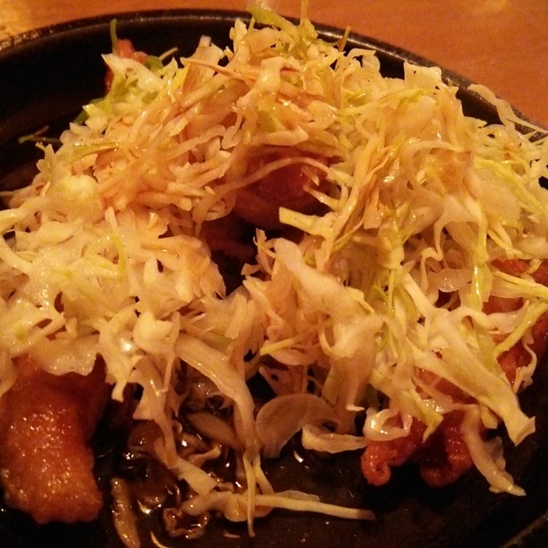 鳥皮餃子(やきとり山源)