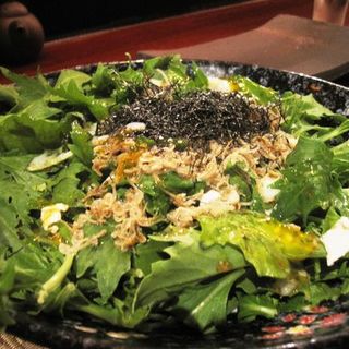 Kyona salad (mizuna leaves with crisp fried whitebait, soft cooked egg and dashi dressing)(Yakitori Totto)