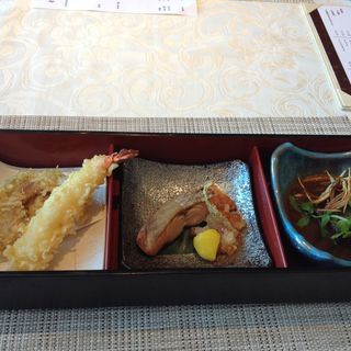 (天空の庭 星のなる木)