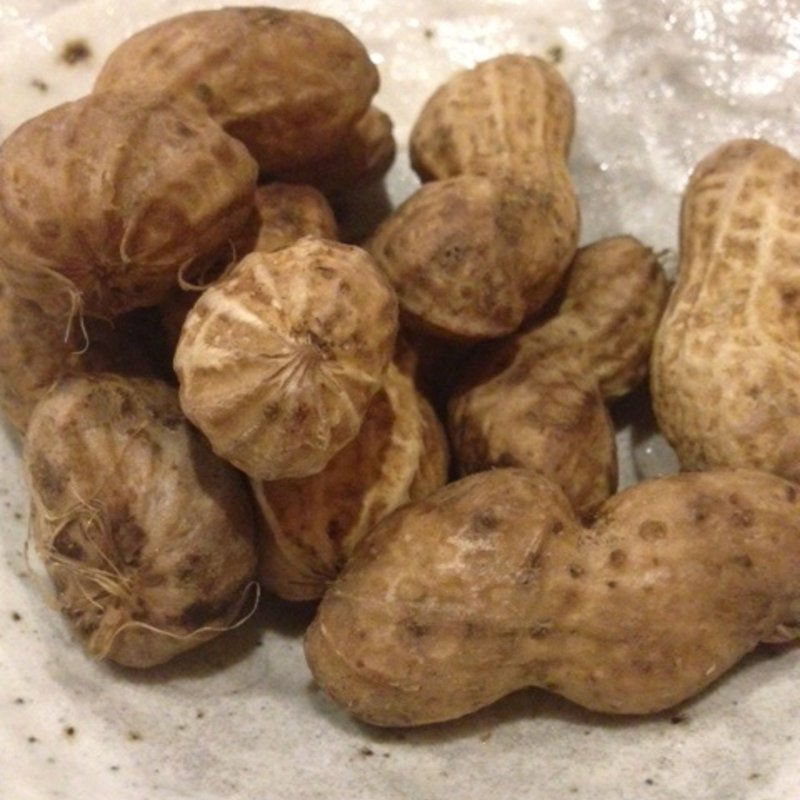 殻つきゆでピーナッツ(農家のおすそわけ はな豆)