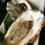Oysters on the Half Shell