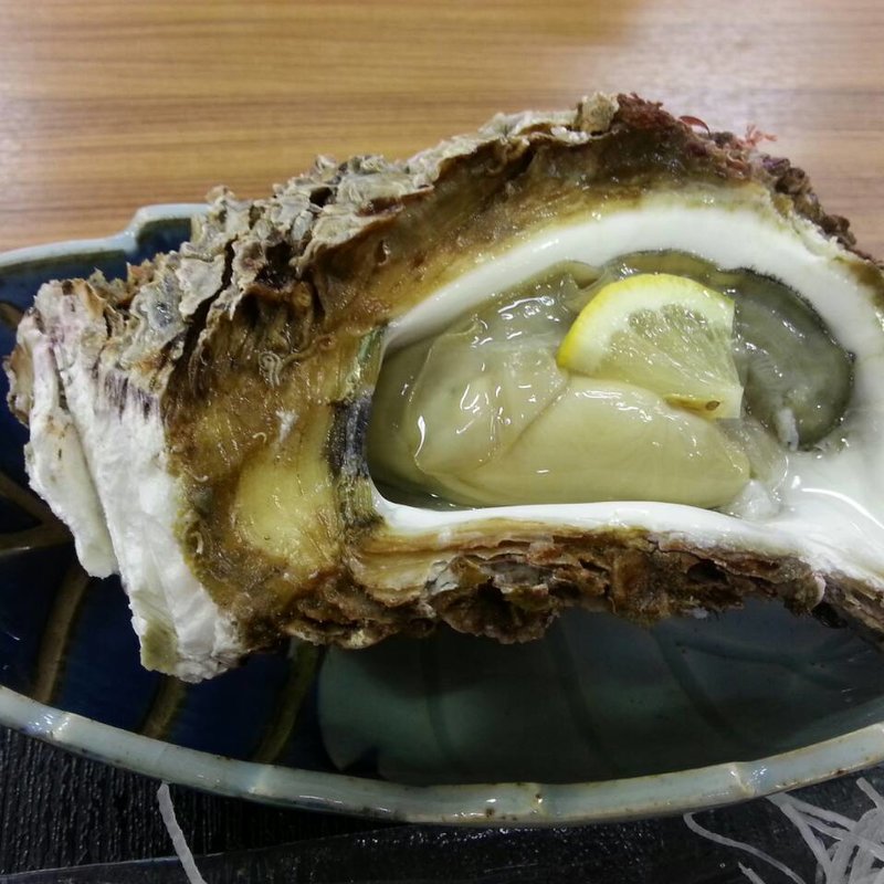 (新湊きっときと市場 )