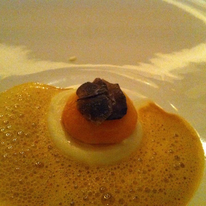 シェフの前菜 卵黄とウニ(Wattle Tokyo)