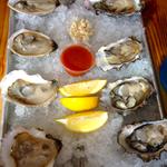Oyster Half Shell(New England Lobster Company)
