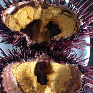 Uni (Sea Urchin)(Poppa’s Fresh Fish Company)