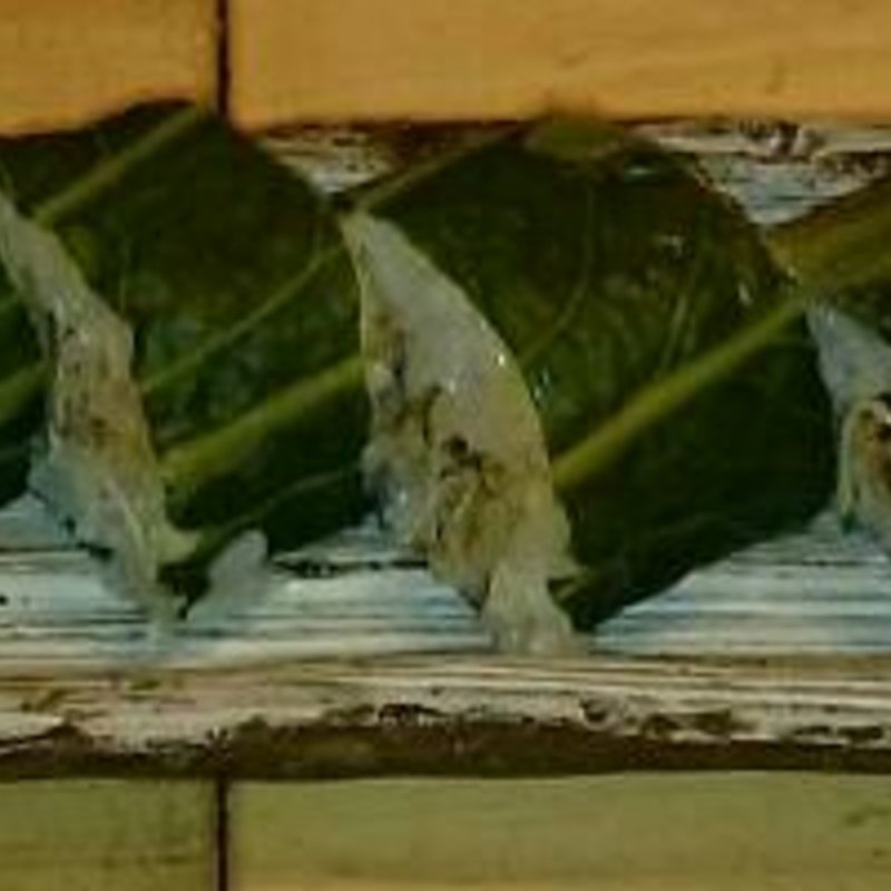 広島菜巻き(四季や)