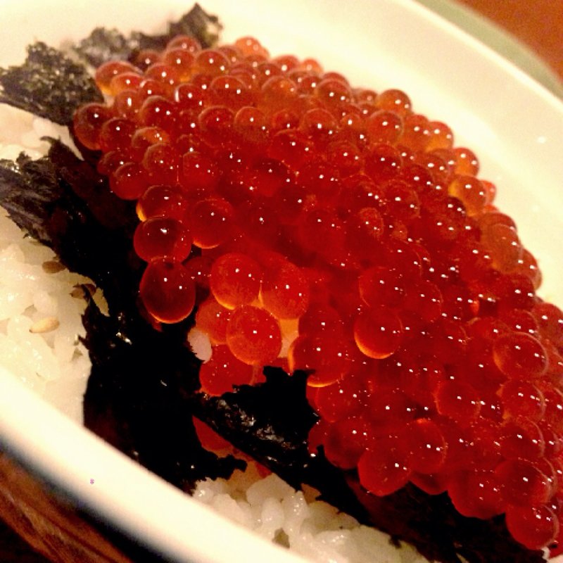 イクラ丼(ハル )