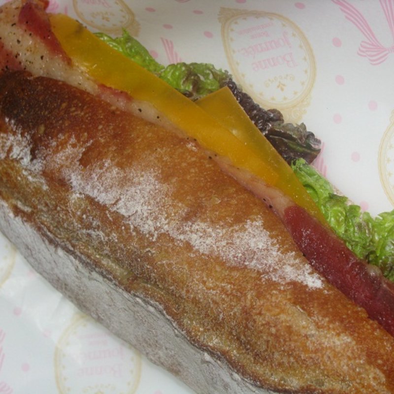 バゲットカスクート(Igel（イーゲル）)