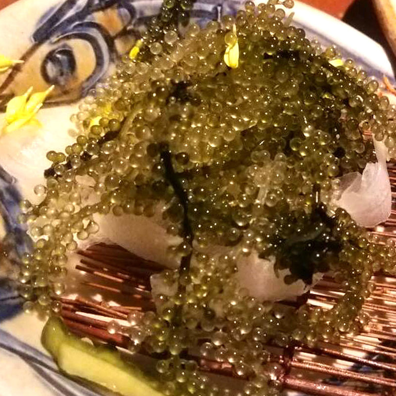 沖縄近海 海ぶどう(ぱいかじ 新宿新南口店)