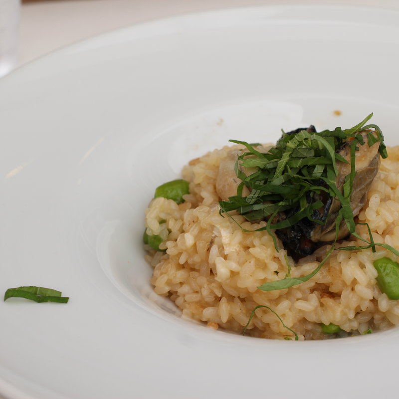 本日の牡蠣リゾットランチ(キンカウーカ グリル＆オイスターバー 横浜ベイクォーター店)