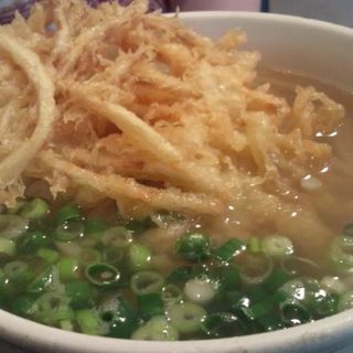 ごぼう天うどん(うどん つるや 本店)