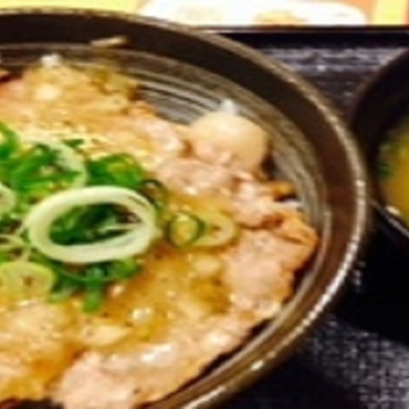 塩豚ロース丼　小盛(吉野家 JR姫路駅店 )