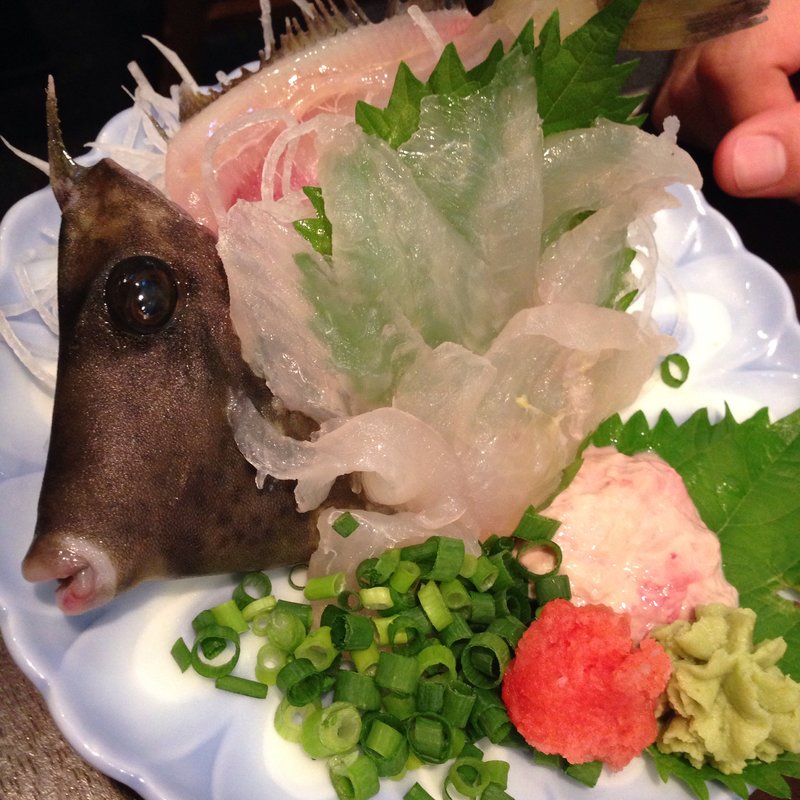 本日のお刺身(とびっちょ)