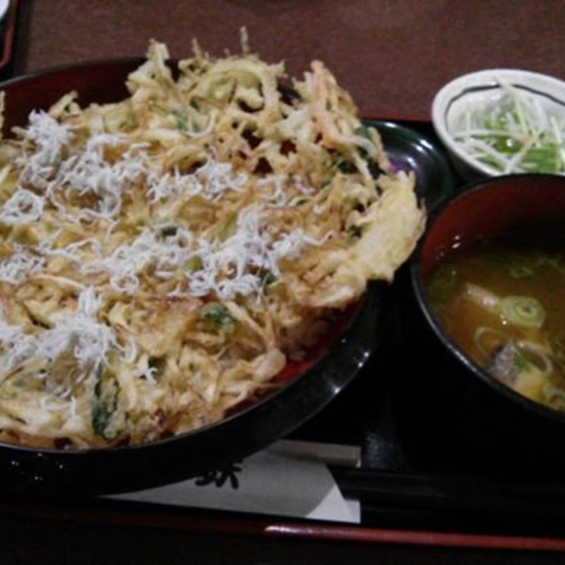 しらすかき揚げ丼(魚鉄食堂 荏原町店 )