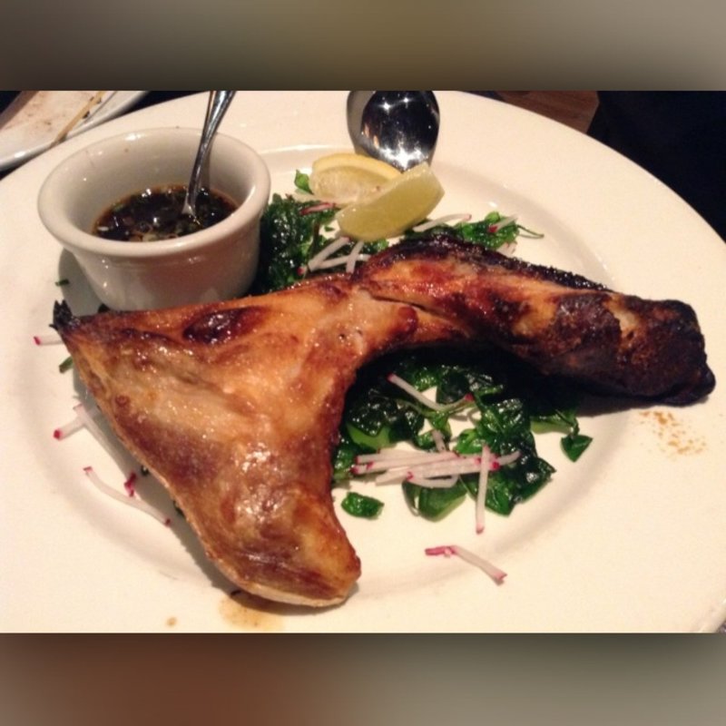 Yellowtail Collar(JuJuya)