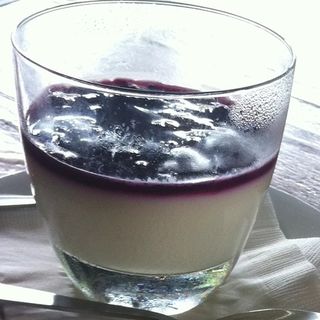 Panna Cotta(The Bee)