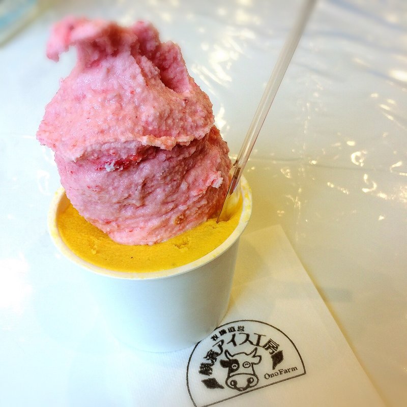 ジェラート  ダブルカップ(横濱アイス工房 ゆめが丘店)