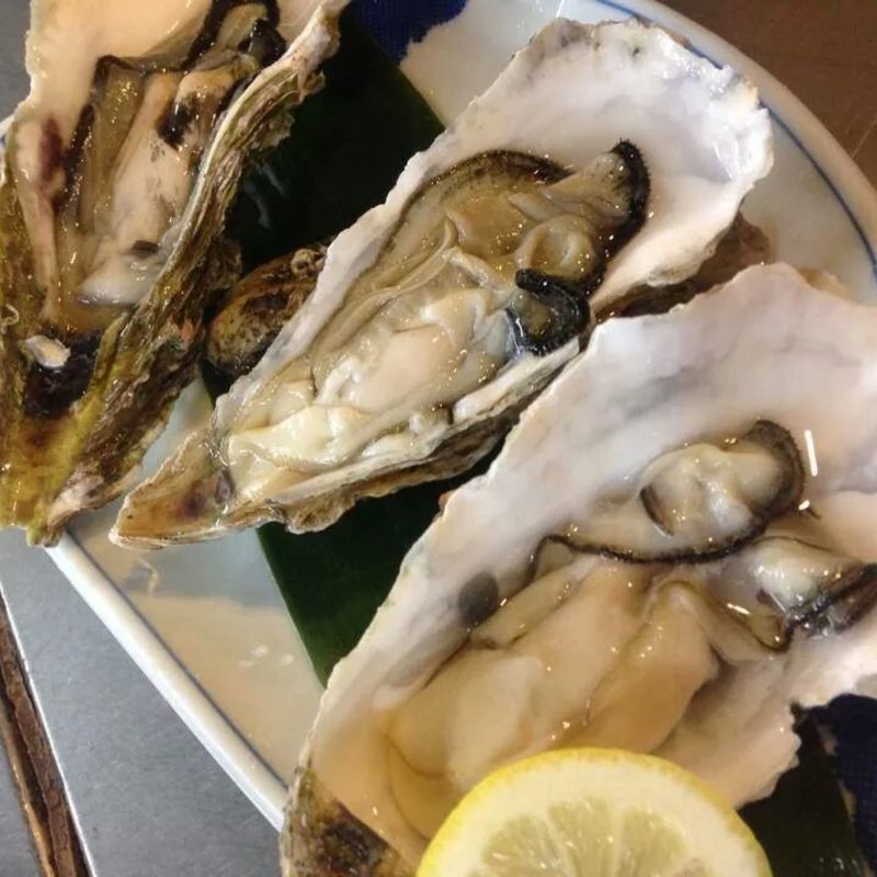 生ガキ(黒潮鮨 )