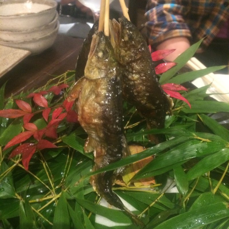 稚鮎(俺の割烹 銀座本店)