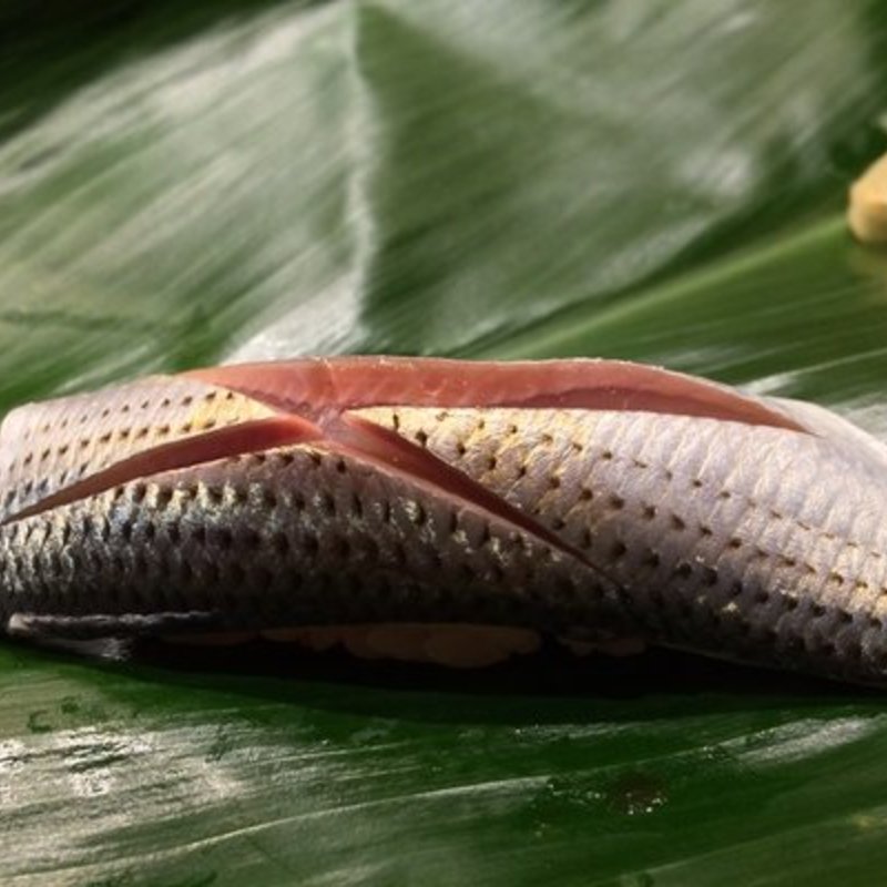Sardine Nigiri(Sushi dojo New York)