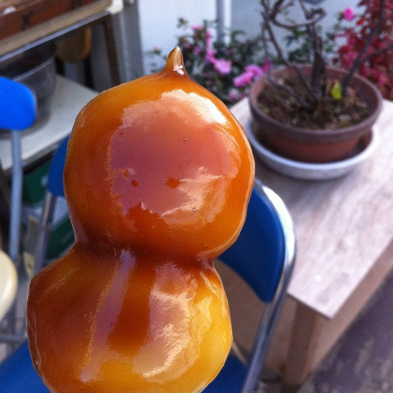 つるかめ餅(ちとせぎく)