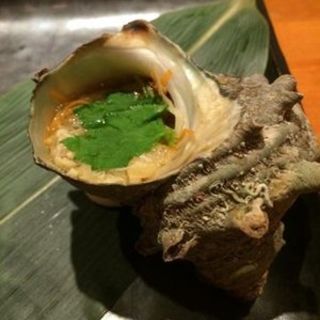 Conch appetizer(Sushi dojo New York)