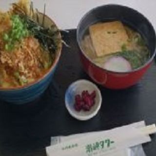 メガ天丼（鮪の天ぷら）(潮岬観光タワーレストラン)