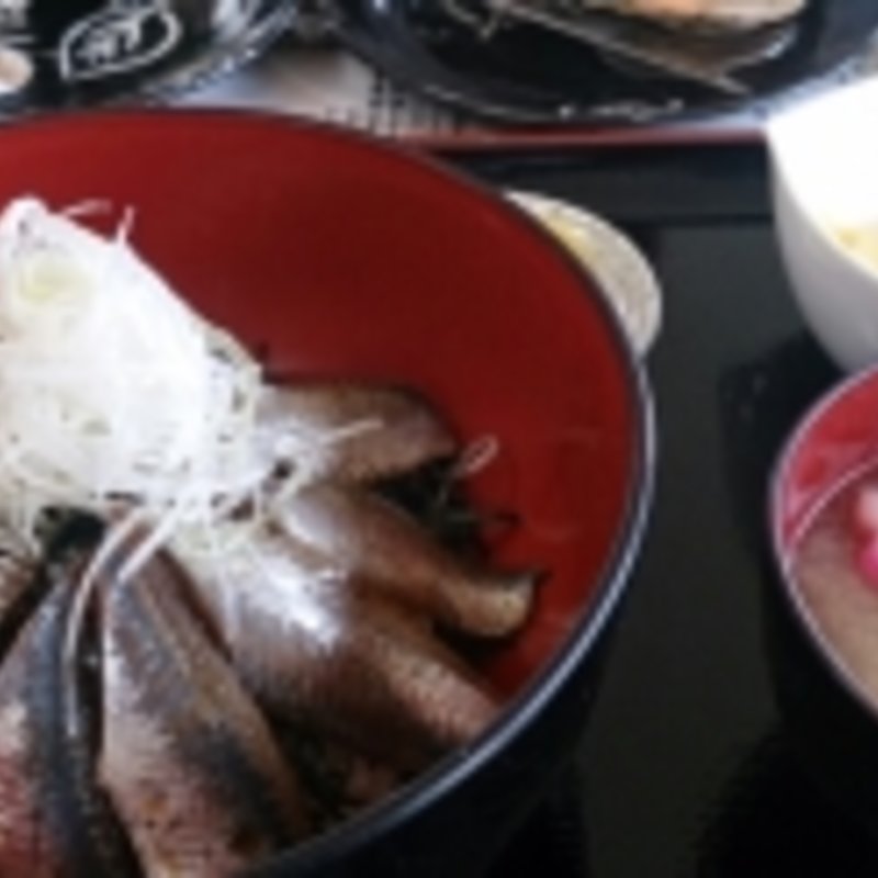 いわし漬け丼(浜茶屋 協栄 )