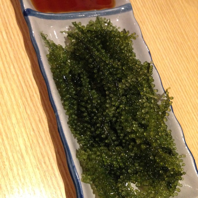 海ぶどう(琉球茶屋　くわっち～ )