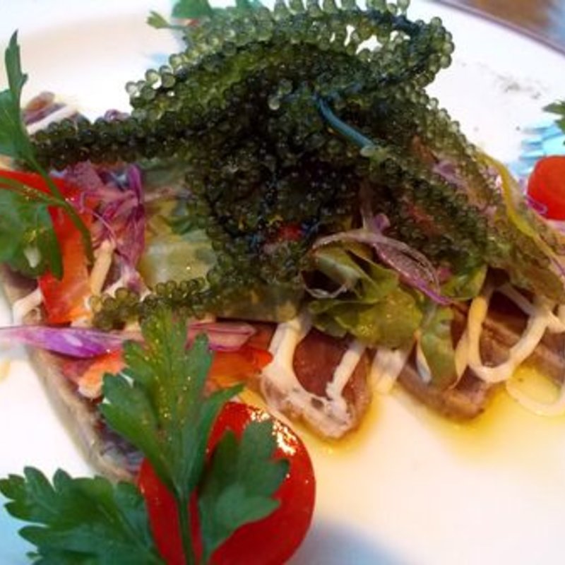 黄肌鮪のカルパッチョ　アンチョビー風味(本格炭火焼きステーキハウス ホープ)