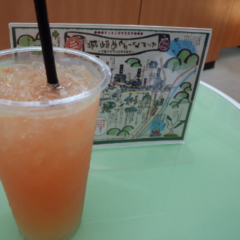 シトラスピンクグレープジュース(きのさきジュース菜果)