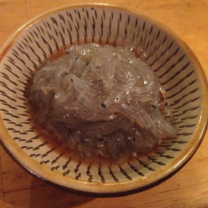 生シラス(オーツキ食堂)