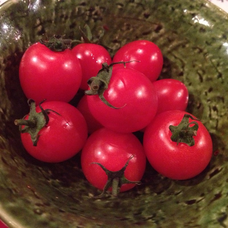 トマト(たるたるホルモン )