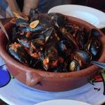 Mussels in tomato and wine sauce