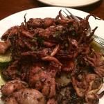 Grilled Octopus