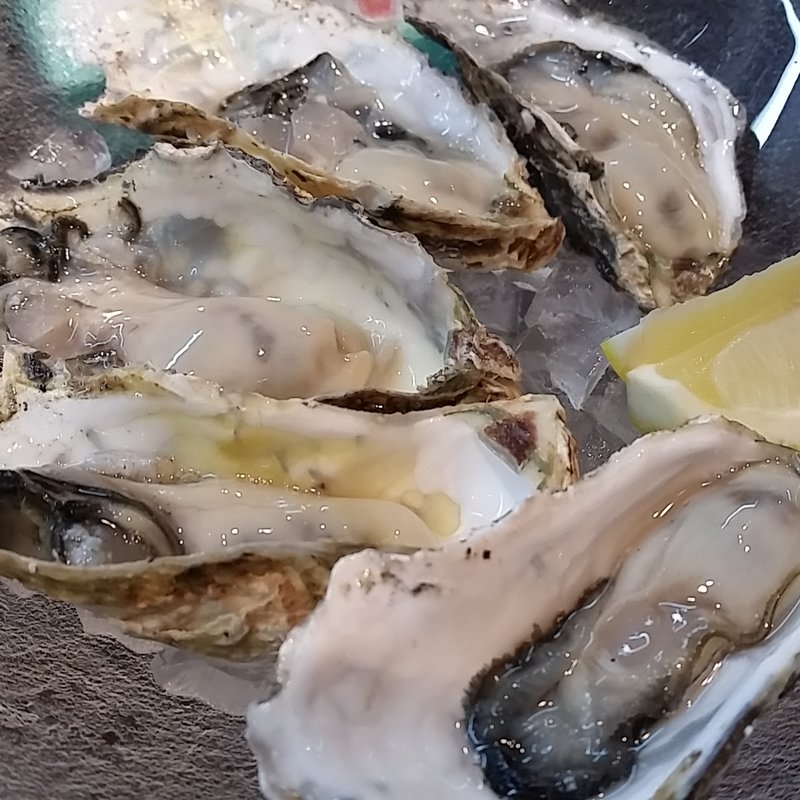 オイスターベイ(おさかなやたい まつり)