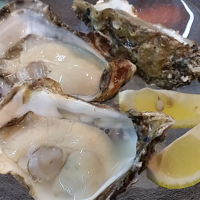 小町 真牡蠣(おさかなやたい まつり)