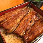 うな重 中(うな藤 )