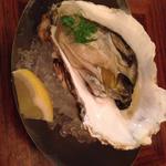 北海道厚岸産 生牡蠣
