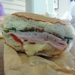 turkey pannini