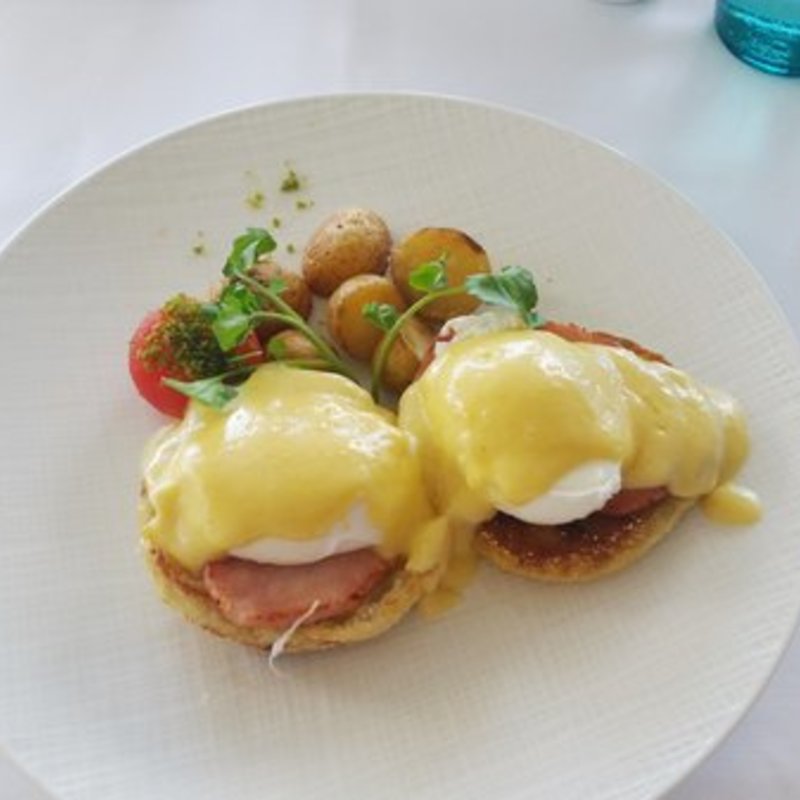 Eggs Benedict (Orchids)