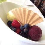 Homemade sorbet