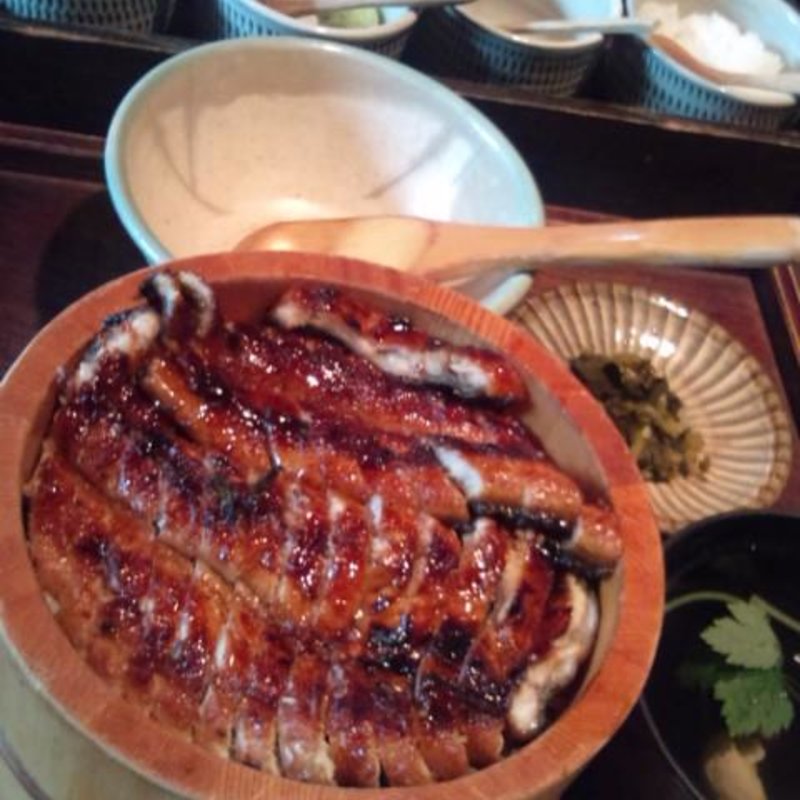 鰻の櫃まぶし(千家)