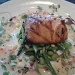 Zealand King Salmon(Stage Restaurant)