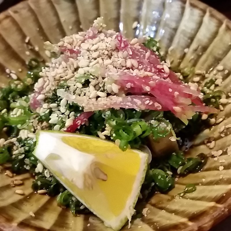 りゅうきゅう(なんば よっちょれ 庄屋はん)