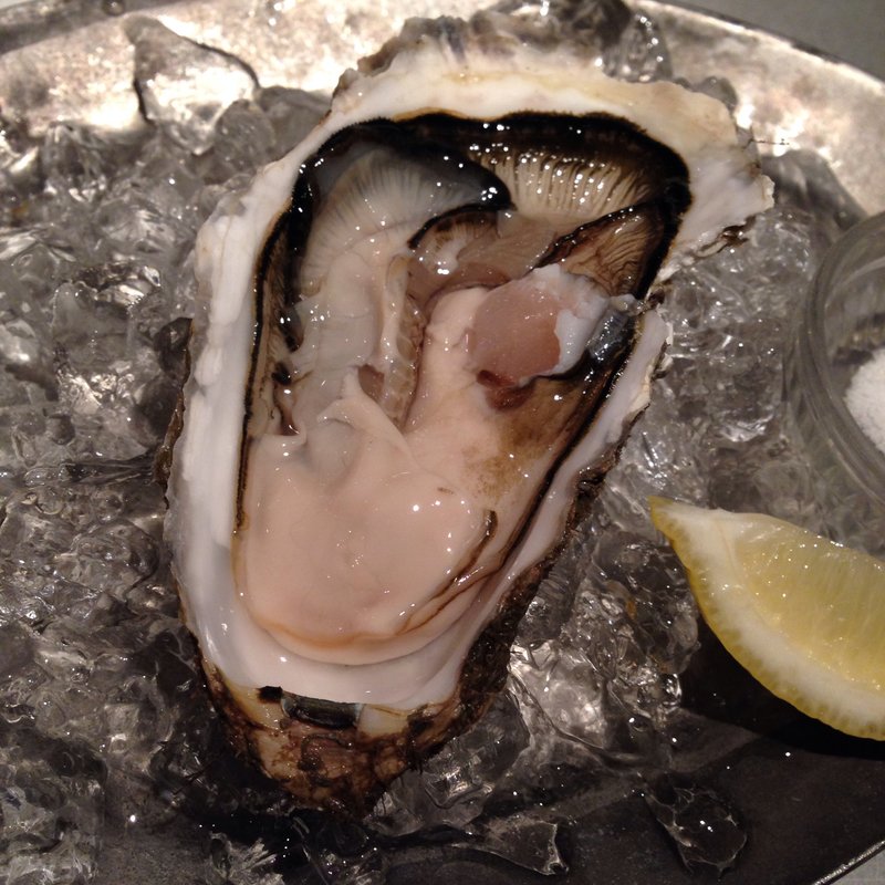 北海道産生牡蠣(タールム富ヶ谷)