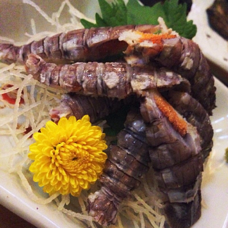 シャコのお刺身(えびす海岸)